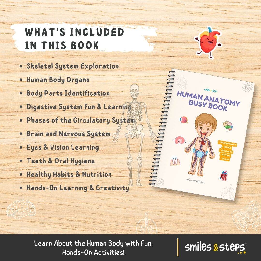 Human Anatomy Busy Book | Fun Hands-On Learning