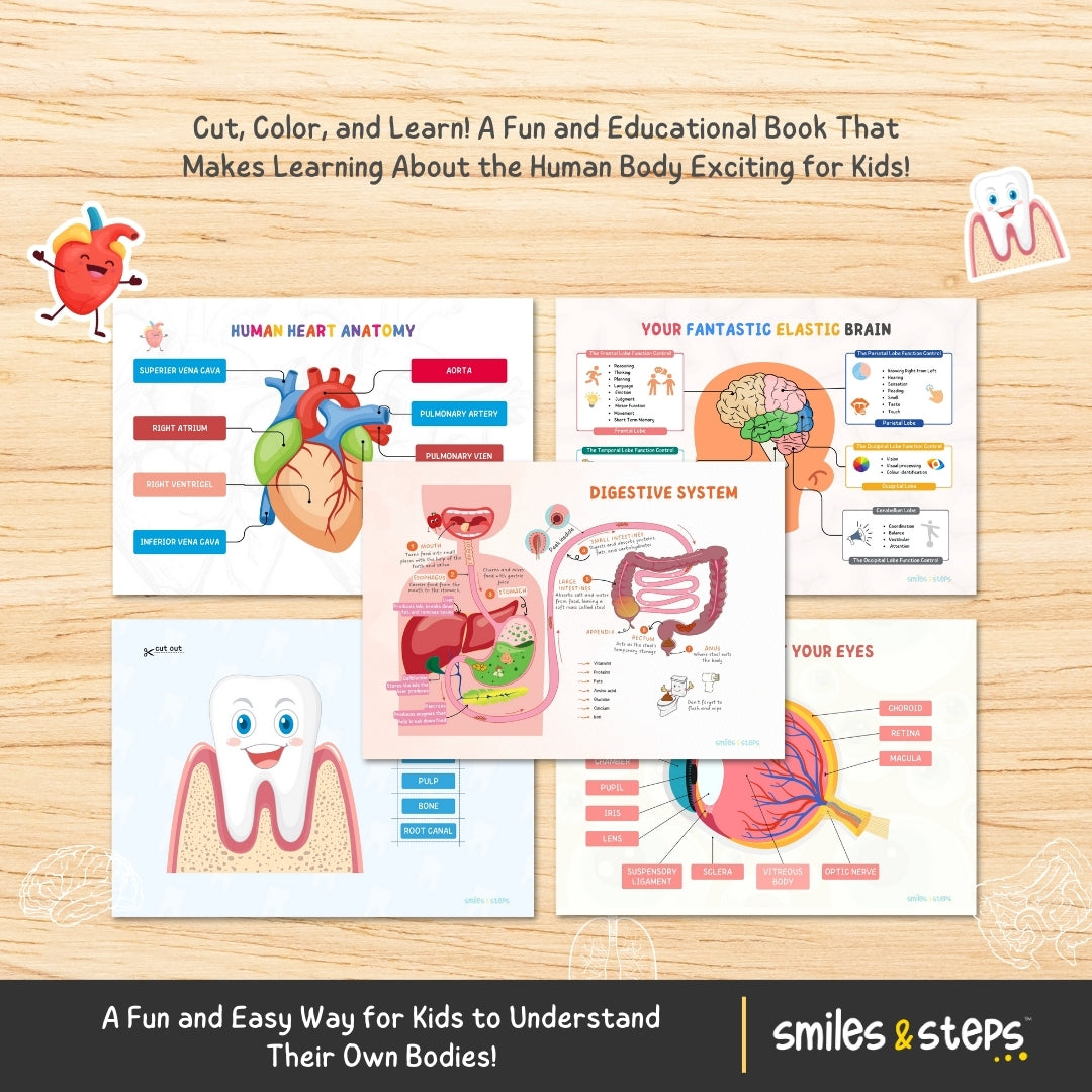 Human Anatomy Busy Book | Fun Hands-On Learning