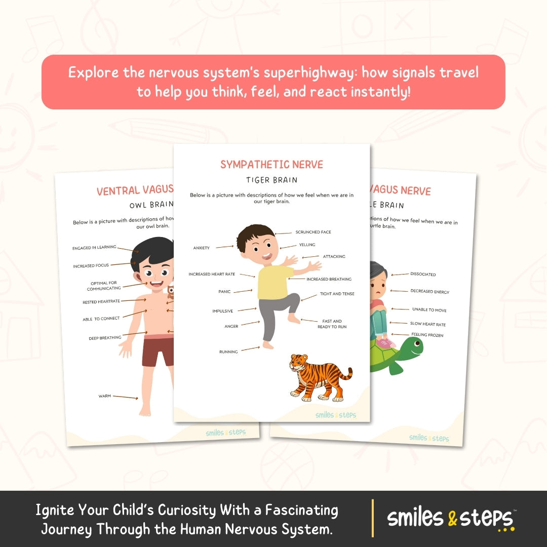 The Polyvagal Theory for Kids | Human Nervous System Workbook | Brain & Body Fun Facts