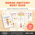 Human Anatomy Busy Book | Fun Hands-On Learning