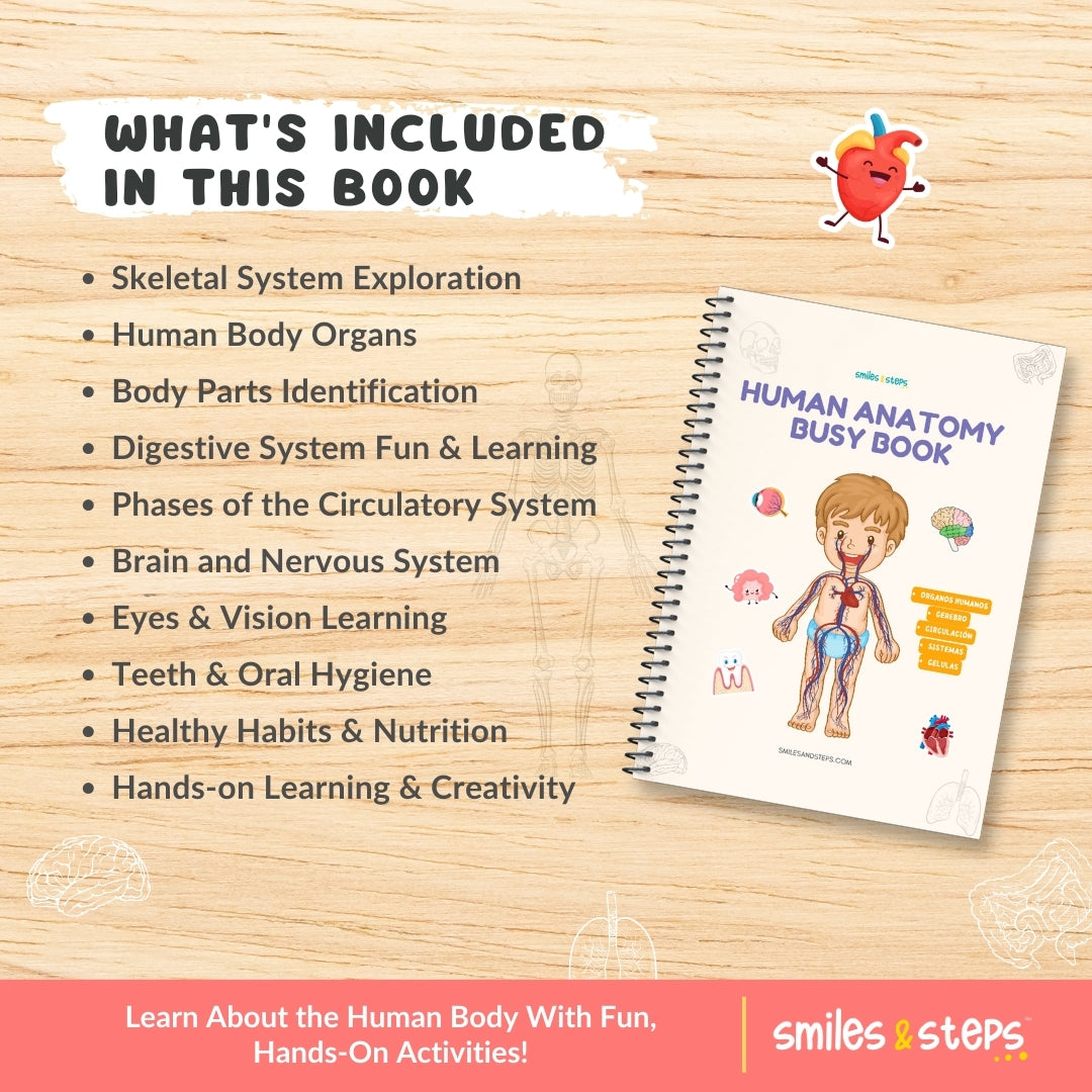Interactive Human Anatomy Busy Book for Kids | Learn Body Parts, Organs & Systems Through Fun Play