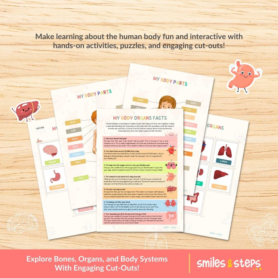 Interactive Human Anatomy Busy Book for Kids | Learn Body Parts, Organs & Systems Through Fun Play