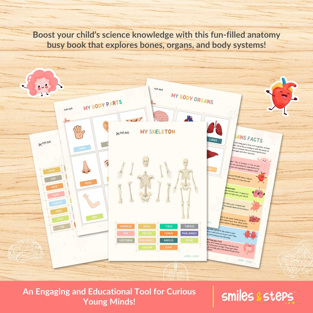 Interactive Human Anatomy Busy Book for Kids | Learn Body Parts, Organs & Systems Through Fun Play