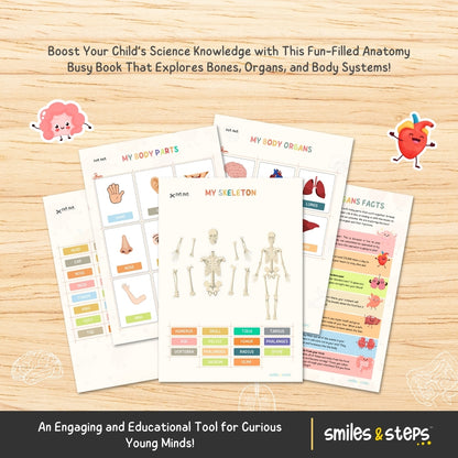 Human Anatomy Busy Book | Fun Hands-On Learning