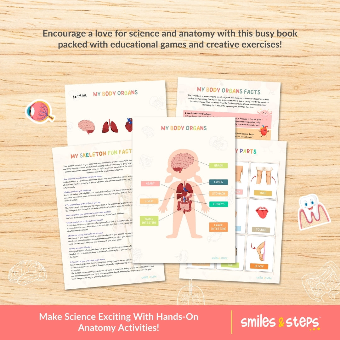 Interactive Human Anatomy Busy Book for Kids | Learn Body Parts, Organs & Systems Through Fun Play