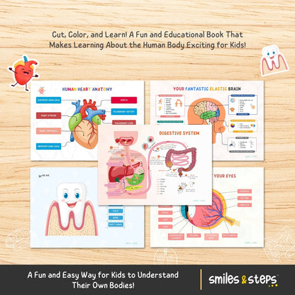 Human Anatomy Busy Book | Fun Hands-On Learning